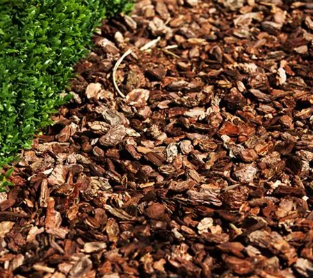 Der Mulch macht’s