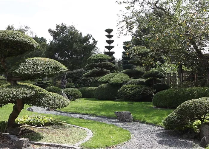 Gartengestaltung - Japangarten