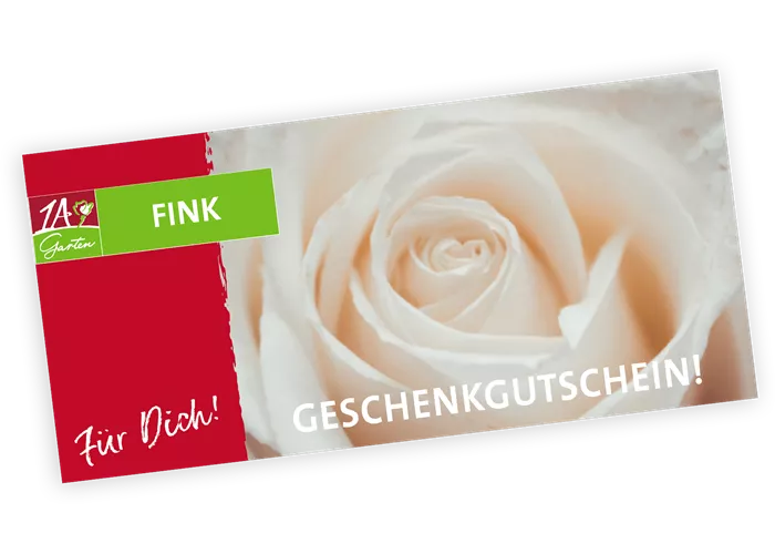 Gutschein Rosen