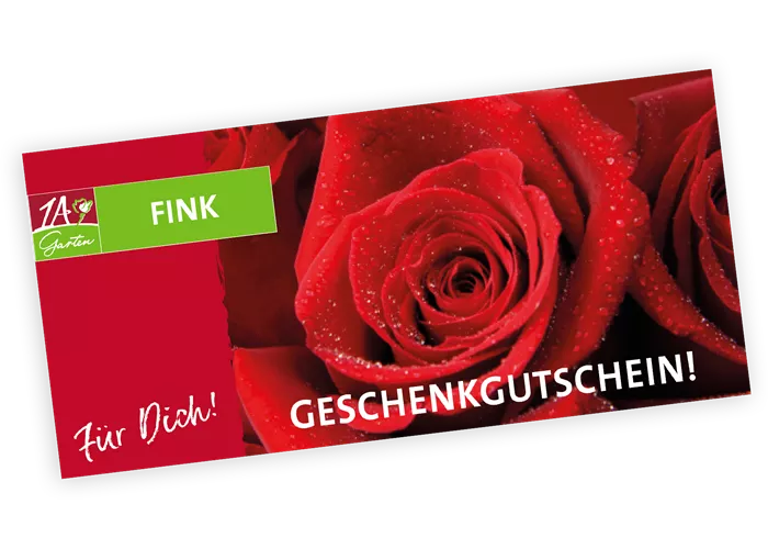 Gutschein Rote Rosen