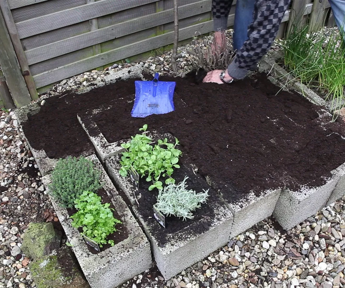 Kräuter - Einsetzen in Pflanzsteine