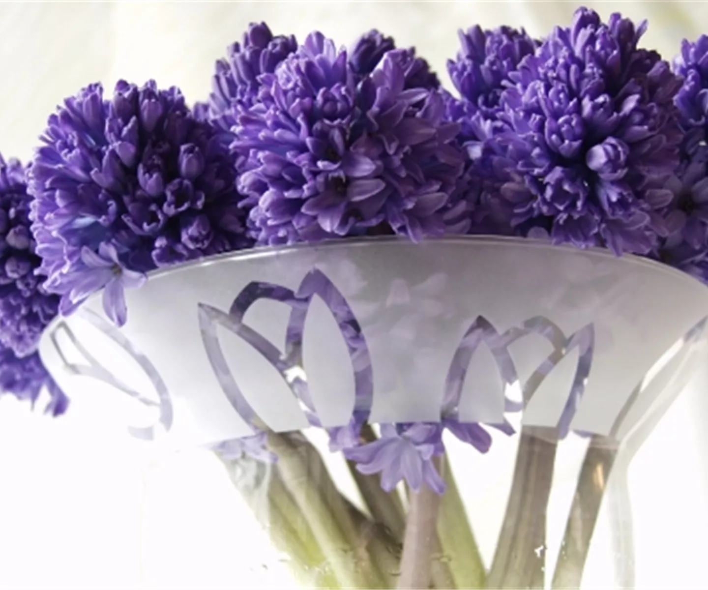 Farbenfroh in den Frühling starten: die Top 8 der Frühlingsboten