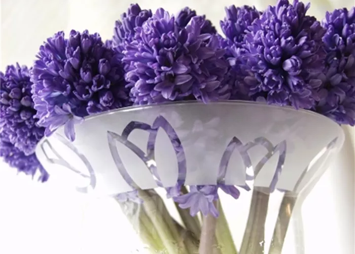 Farbenfroh in den Frühling starten: die Top 8 der Frühlingsboten