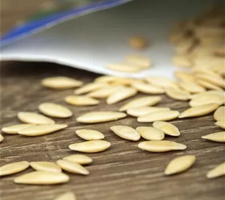 Minigewächshauser herstellen