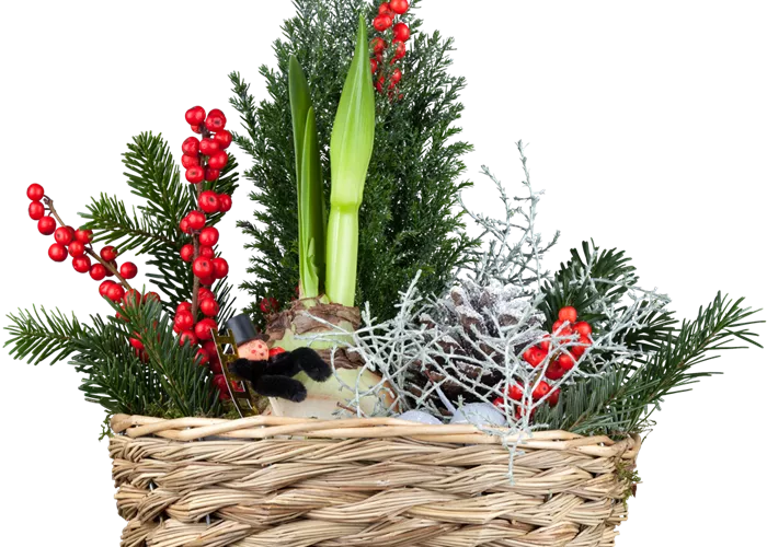 Weihnachtliche Stimmung im Garten